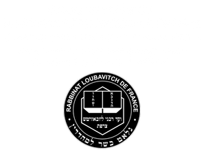 Filet de Macreuse Black Angus 100% Pure Race SURGELÉ